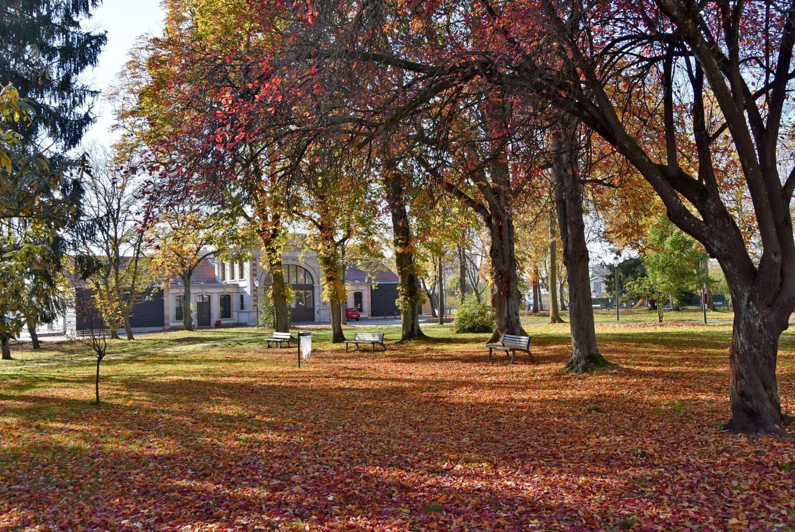 Professionnelle du ménage — visage et tablier Majordom